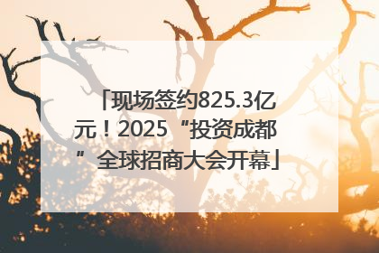 现场签约825.3亿元！2025“投资成都”全球招商大会开幕