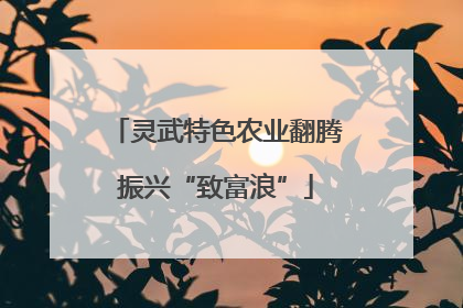 灵武特色农业翻腾振兴“致富浪”