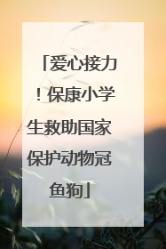 爱心接力！保康小学生救助国家保护动物冠鱼狗
