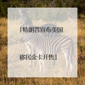 特朗普宣布美国移民金卡开售