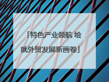 特色产业领航 绘就外贸发展新画卷