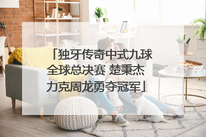 独牙传奇中式九球全球总决赛 楚秉杰力克周龙勇夺冠军