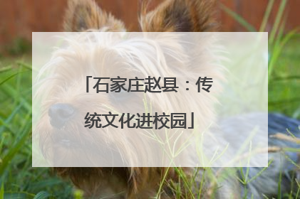 石家庄赵县：传统文化进校园