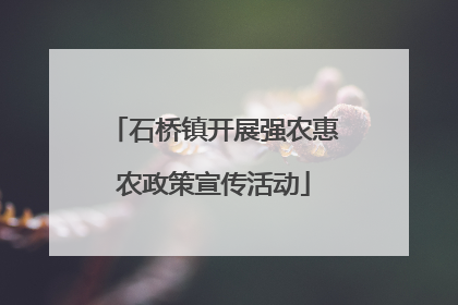 石桥镇开展强农惠农政策宣传活动