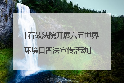 石鼓法院开展六五世界环境日普法宣传活动