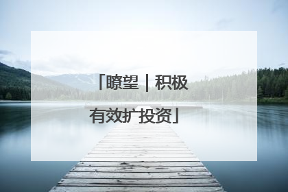 瞭望｜积极有效扩投资