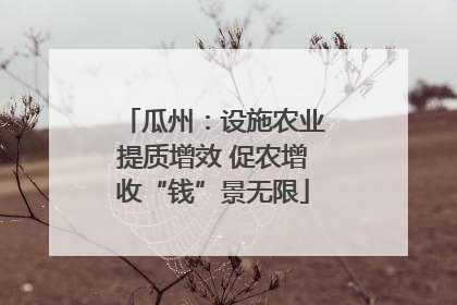 瓜州：设施农业提质增效 促农增收“钱”景无限
