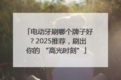 电动牙刷哪个牌子好？2025推荐，刷出你的 “高光时刻”