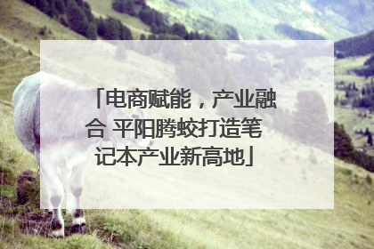 电商赋能，产业融合 平阳腾蛟打造笔记本产业新高地