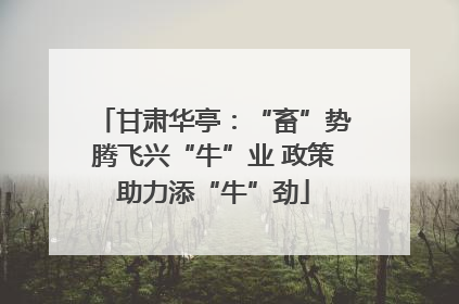 甘肃华亭：“畜”势腾飞兴“牛”业 政策助力添“牛”劲
