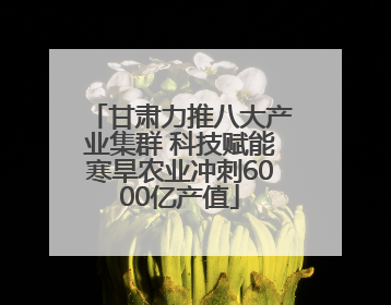 甘肃力推八大产业集群 科技赋能寒旱农业冲刺6000亿产值