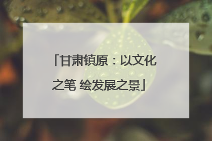 甘肃镇原：以文化之笔 绘发展之景