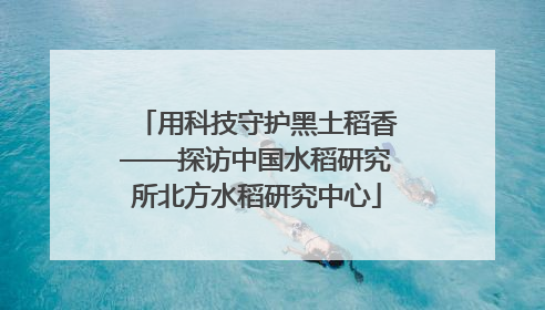 用科技守护黑土稻香——探访中国水稻研究所北方水稻研究中心