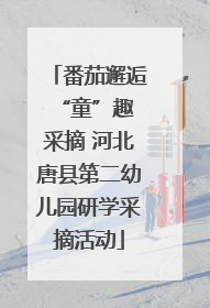 番茄邂逅 “童”趣采摘 河北唐县第二幼儿园研学采摘活动