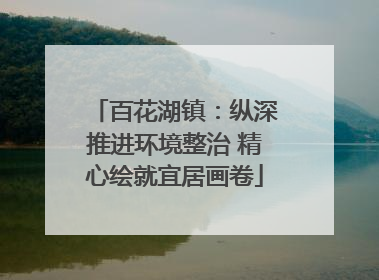 百花湖镇：纵深推进环境整治 精心绘就宜居画卷