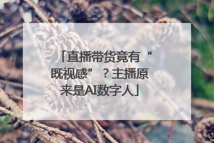 直播带货竟有“既视感”？主播原来是AI数字人