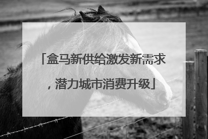 盒马新供给激发新需求，潜力城市消费升级