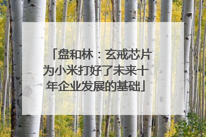 盘和林：玄戒芯片为小米打好了未来十年企业发展的基础