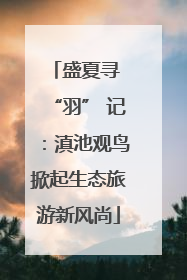 盛夏寻 “羽” 记：滇池观鸟掀起生态旅游新风尚