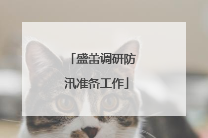 盛蕾调研防汛准备工作