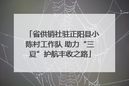 省供销社驻正阳县小陈村工作队 助力“三夏”护航丰收之路