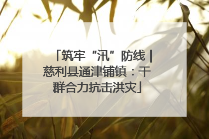 筑牢“汛”防线｜慈利县通津铺镇：干群合力抗击洪灾