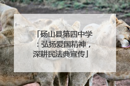 砀山县第四中学：弘扬爱国精神，深耕民法典宣传
