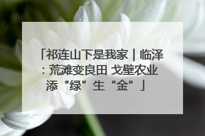 祁连山下是我家｜临泽：荒滩变良田 戈壁农业添“绿”生“金”
