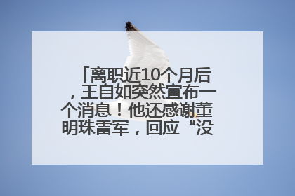 离职近10个月后，王自如突然宣布一个消息！他还感谢董明珠雷军，回应“没看过格力工资条”：真的不那么重要！