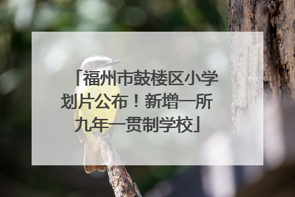 福州市鼓楼区小学划片公布！新增一所九年一贯制学校