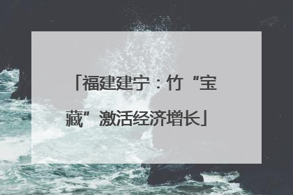 福建建宁：竹“宝藏”激活经济增长