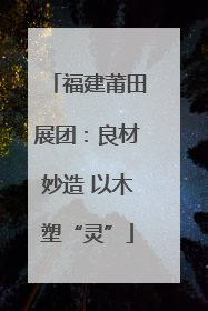 福建莆田展团：良材妙造 以木塑“灵”