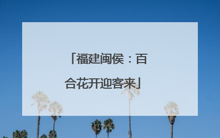 福建闽侯：百合花开迎客来