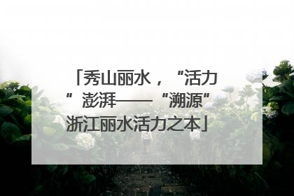 秀山丽水，“活力”澎湃——“溯源”浙江丽水活力之本