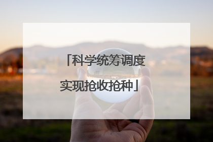 科学统筹调度实现抢收抢种