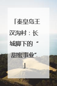 秦皇岛王汉沟村：长城脚下的“甜蜜事业”