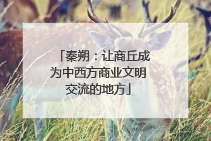 秦朔：让商丘成为中西方商业文明交流的地方