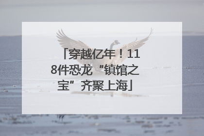 穿越亿年！118件恐龙“镇馆之宝”齐聚上海