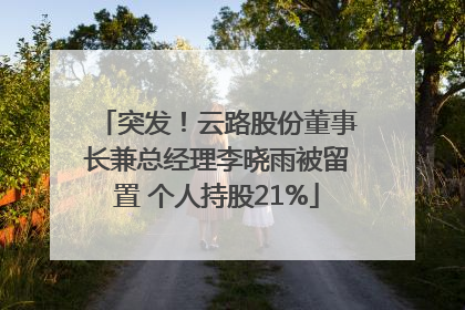 突发！云路股份董事长兼总经理李晓雨被留置 个人持股21%