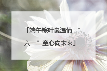 端午粽叶裹温情 “六一”童心向未来