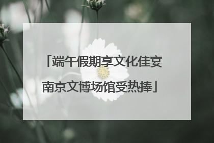 端午假期享文化佳宴 南京文博场馆受热捧