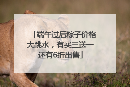 端午过后粽子价格大跳水，有买三送一还有6折出售