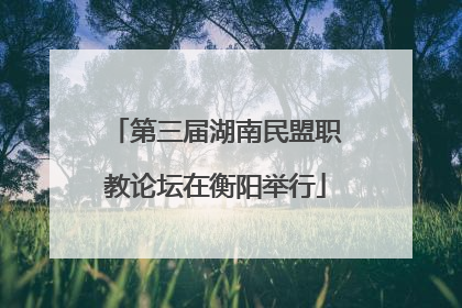 第三届湖南民盟职教论坛在衡阳举行