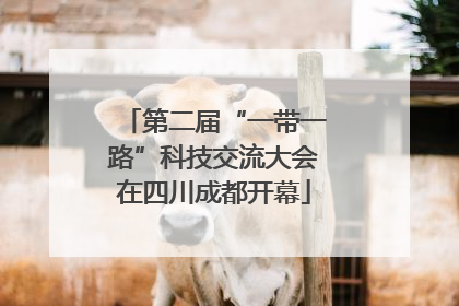 第二届“一带一路”科技交流大会在四川成都开幕