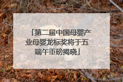 第二届中国母婴产业母婴龙标奖将于五端午重磅揭晓
