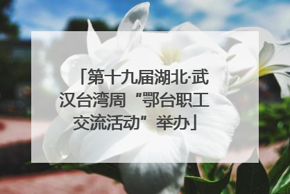 第十九届湖北·武汉台湾周“鄂台职工交流活动”举办