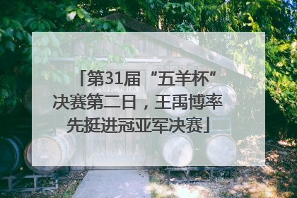 第31届“五羊杯”决赛第二日，王禹博率先挺进冠亚军决赛