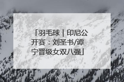 羽毛球｜印尼公开赛：刘圣书/谭宁晋级女双八强