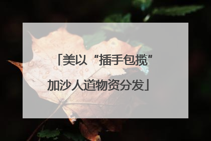 美以“插手包揽”加沙人道物资分发