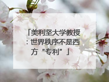 美利坚大学教授：世界秩序不是西方“专利”